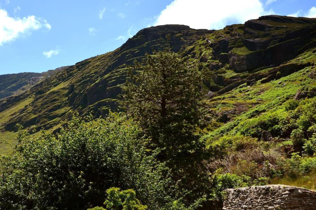 Secluded Cottage Nestled In The Beara Peninsula Killarney Ngoại thất bức ảnh